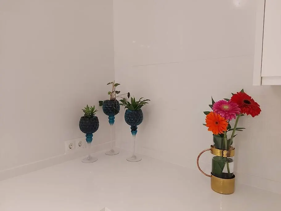 Apartamento Acogedor Piso En El Centro Cádiz
